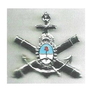 Distintivo Infantería — Multifuerzas Ponasso