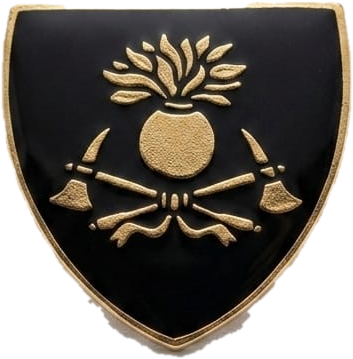 Distintivo boina Bomberos PBA — Multifuerzas Ponasso