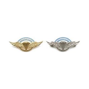 Brevet Paracaidista Militar (dorado / níquel) — Ejército Argentino — Multifuerzas Ponasso