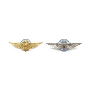 Brevet Aviador Militar (dorado / níquel) — Ejército Argentino — Multifuerzas Ponasso