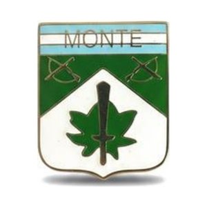 Distintivo de Monte — Ejército Argentino — Multifuerzas Ponasso
