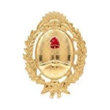 Escudo Oficial Dorado — Multifuerzas Ponasso