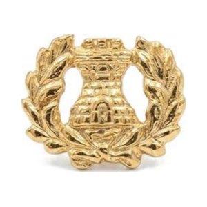 Emblema Colegio Militar de la Nación — Ejército Argentino — Multifuerzas Ponasso